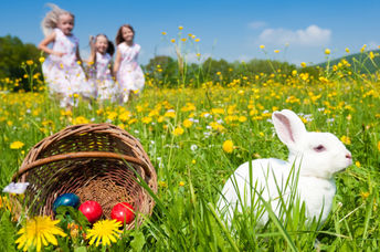 当一只复活节兔子坐在一篮子彩蛋旁边时，孩子们正在寻找复活节彩蛋。
