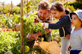 父亲和他的孩子们看着在社区花园里种植的蔬菜。
