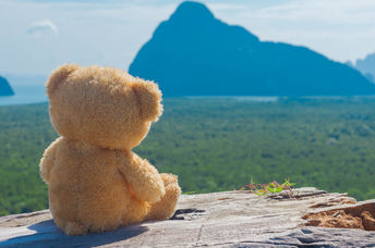 失落的泰迪熊在等待其主人。