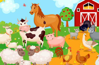 农场的动物动画动物在农场上放松。