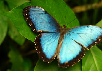 拥抱像这块蝴蝶一样的变化。