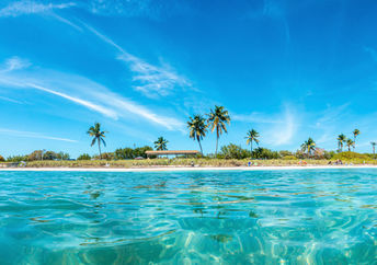 佛罗里达礁岛是清洁珊瑚礁生态系统的螃蟹的栖息地。
