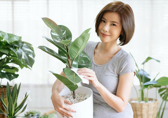 女人照顾家里的植物。