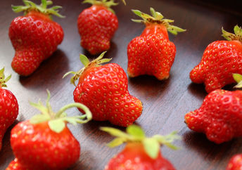 不完美的草莓。