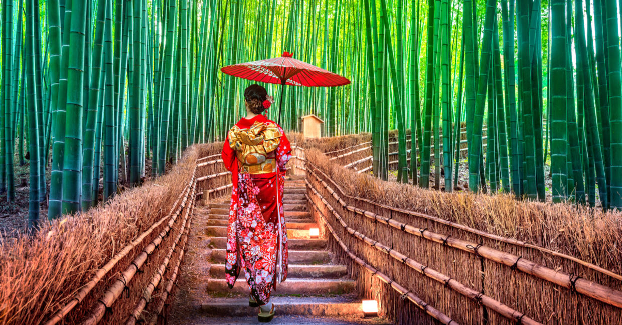 一位穿着和服的日本妇女在竹林中散步时喜欢锻炼身体。