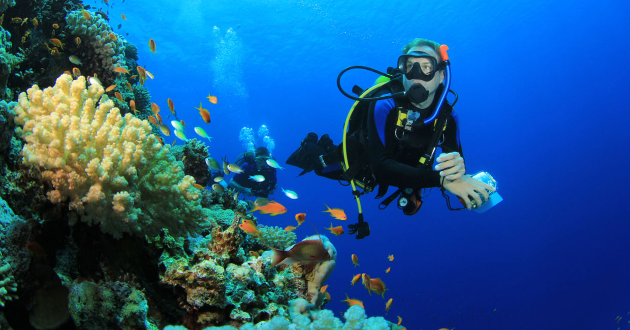 珊瑚礁附近的水肺潜水员。