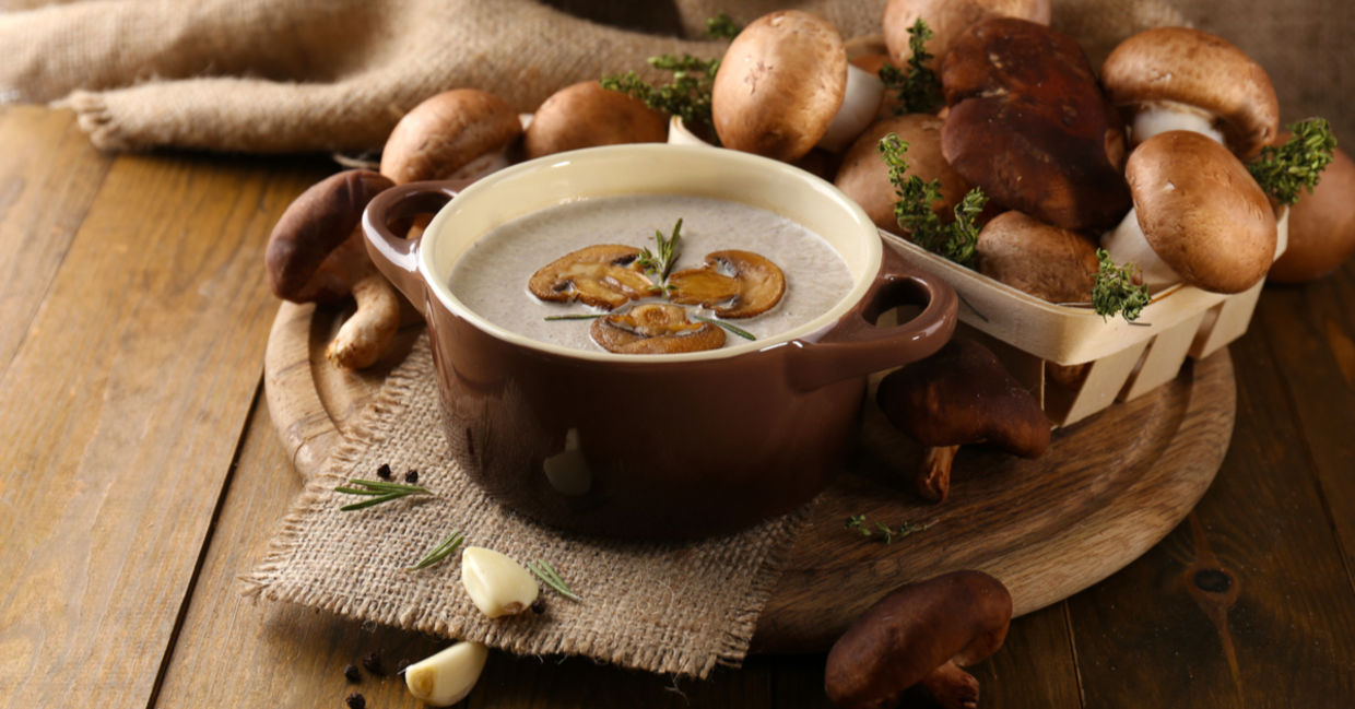 蘑菇汤对您的健康有益。