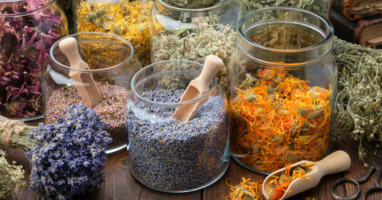 罐子和一束干花，用于制作芳香精油。