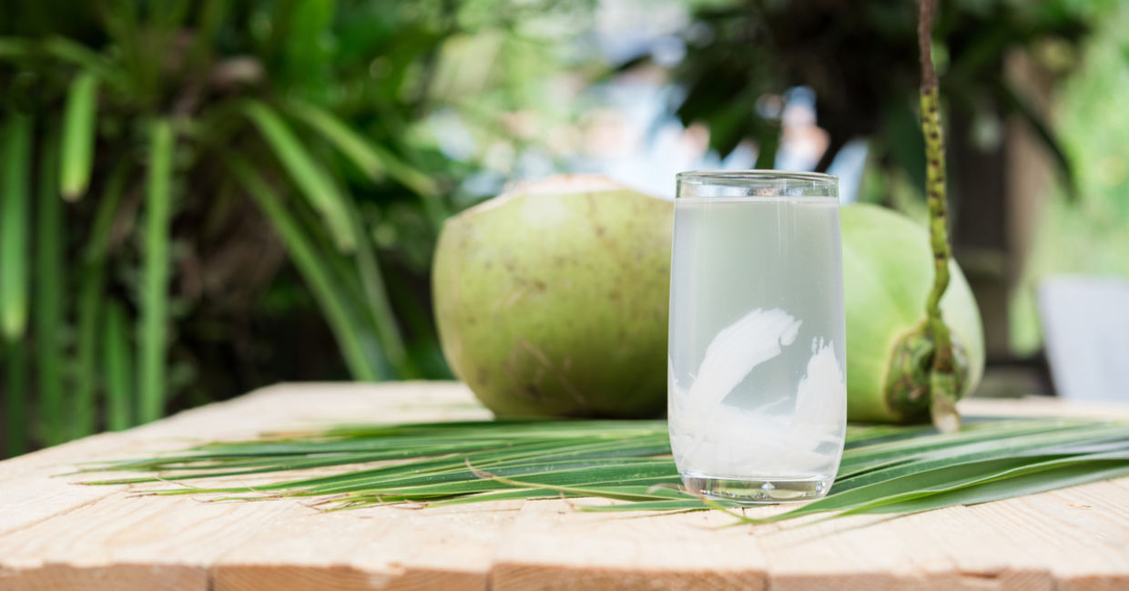 热带椰子水是水力的。
