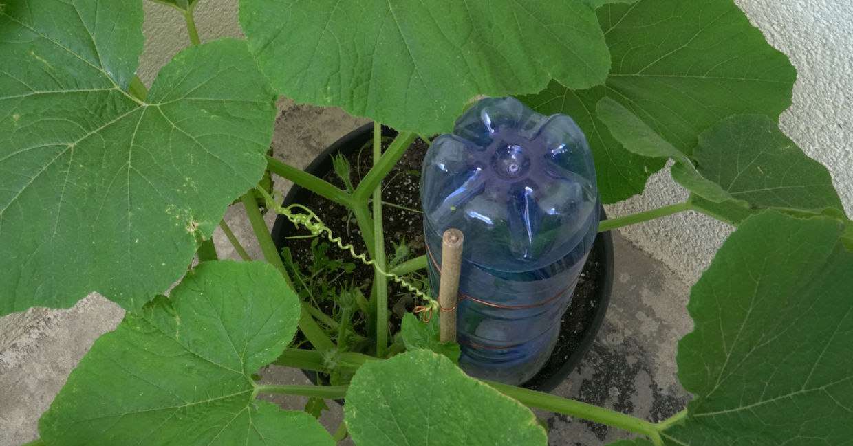 简单，自制的浇水自动化系统，使用塑料瓶。