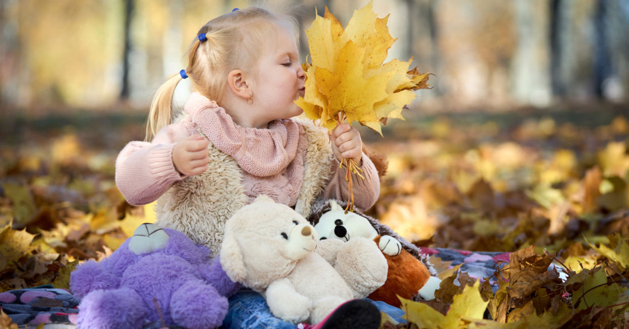 小女孩戏剧用淡黄色的秋天槭树叶子与她在她附近的软的玩具