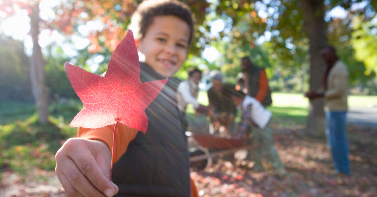 一个小男孩帮助耙树叶与家人一起举起深红色的枫叶。