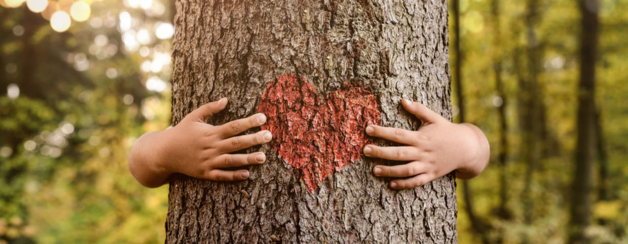 植物emath拥抱一棵树与在树干上绘的心脏。