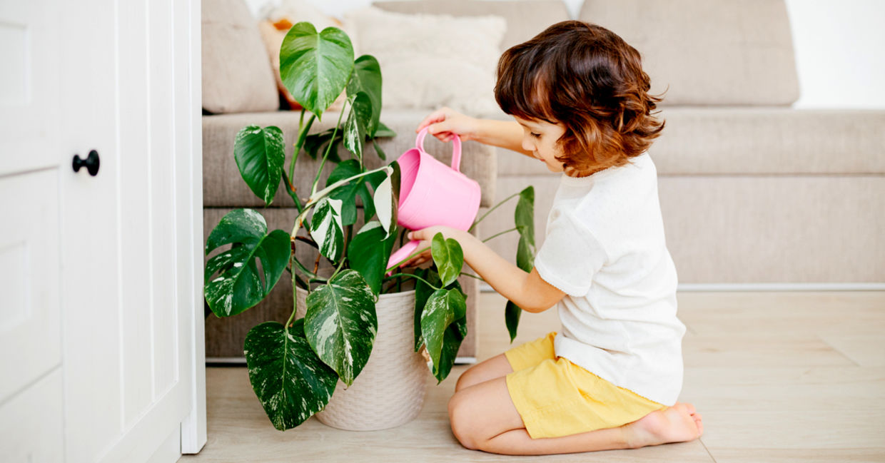 小女孩照顾室内植物
