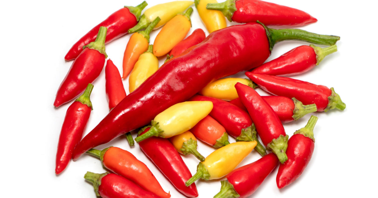 各种彩色的热胡椒。