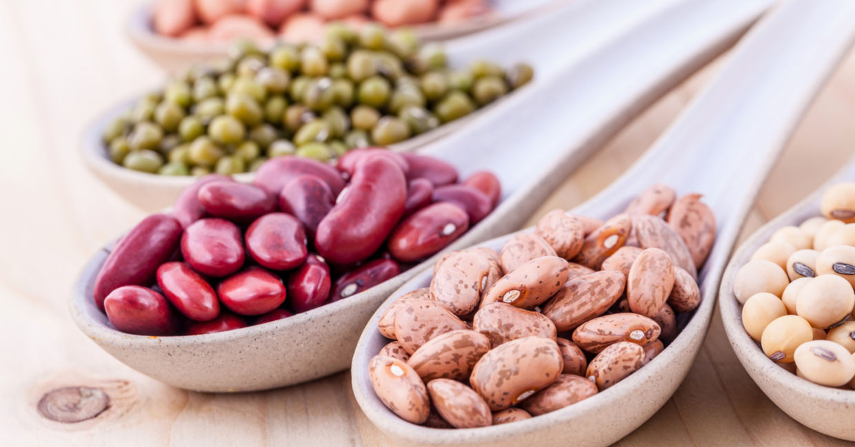 豆子包含您需要产生胶原蛋白的氨基酸。