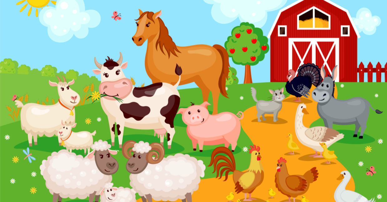 农场动物动画片在易于在农场。