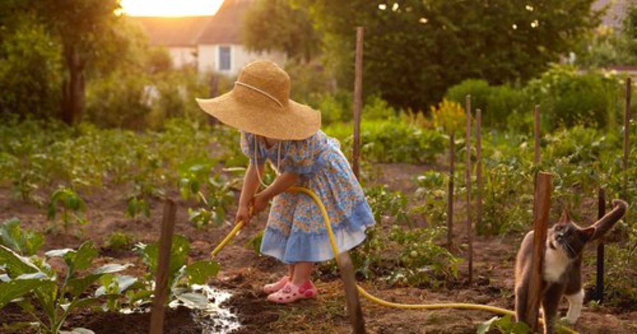 一个戴着草帽的小女孩是菜园。