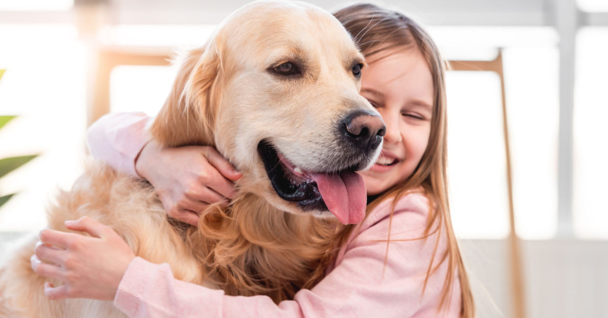 拥抱她的金毛猎犬狗和微笑的小女孩。