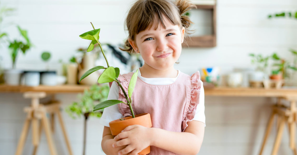 可爱的孩子拿着盆栽植物。