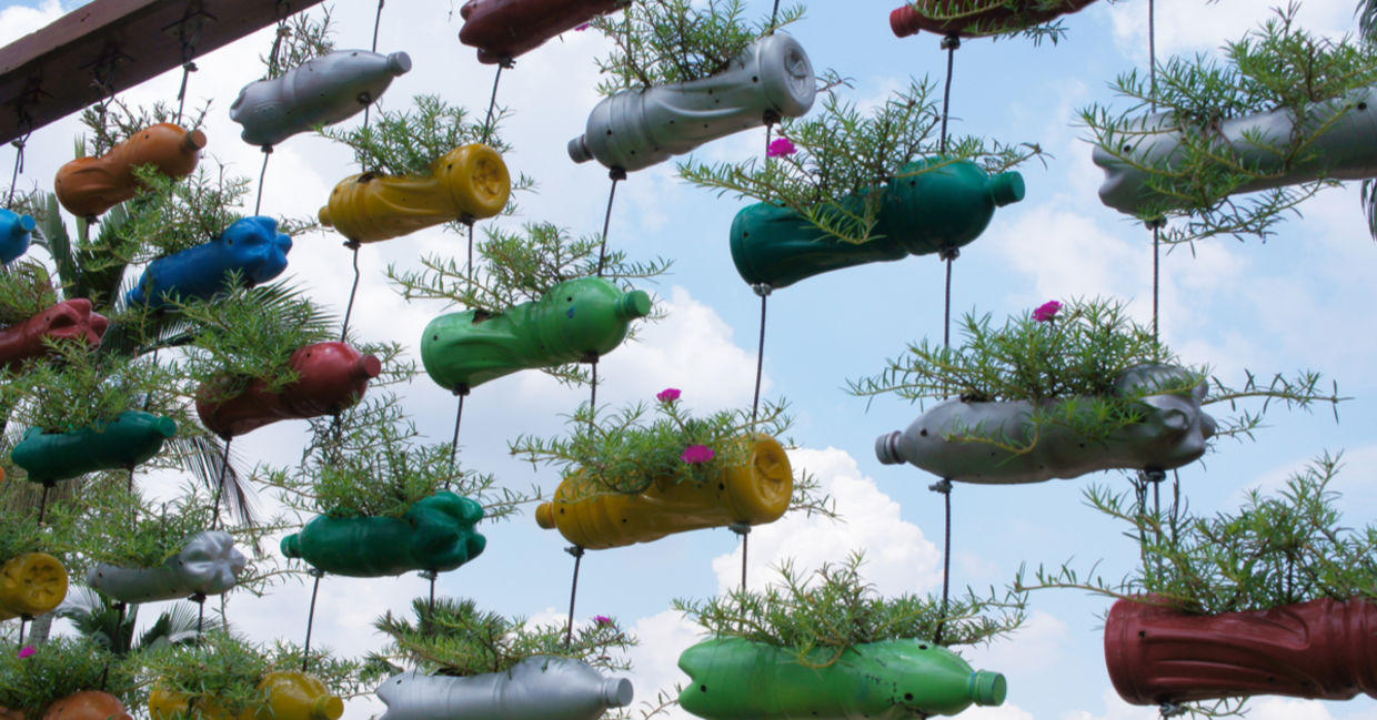 再生塑料花园创建一个垂直花园。
