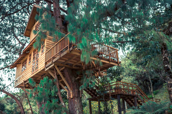 树林里的树屋。