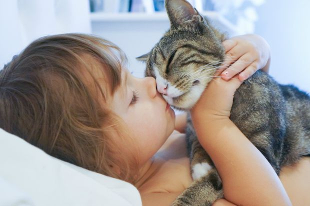 女孩亲吻一只猫