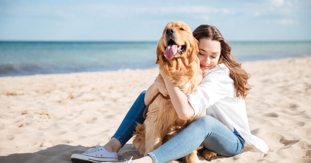 女人与狗坐在沙滩上