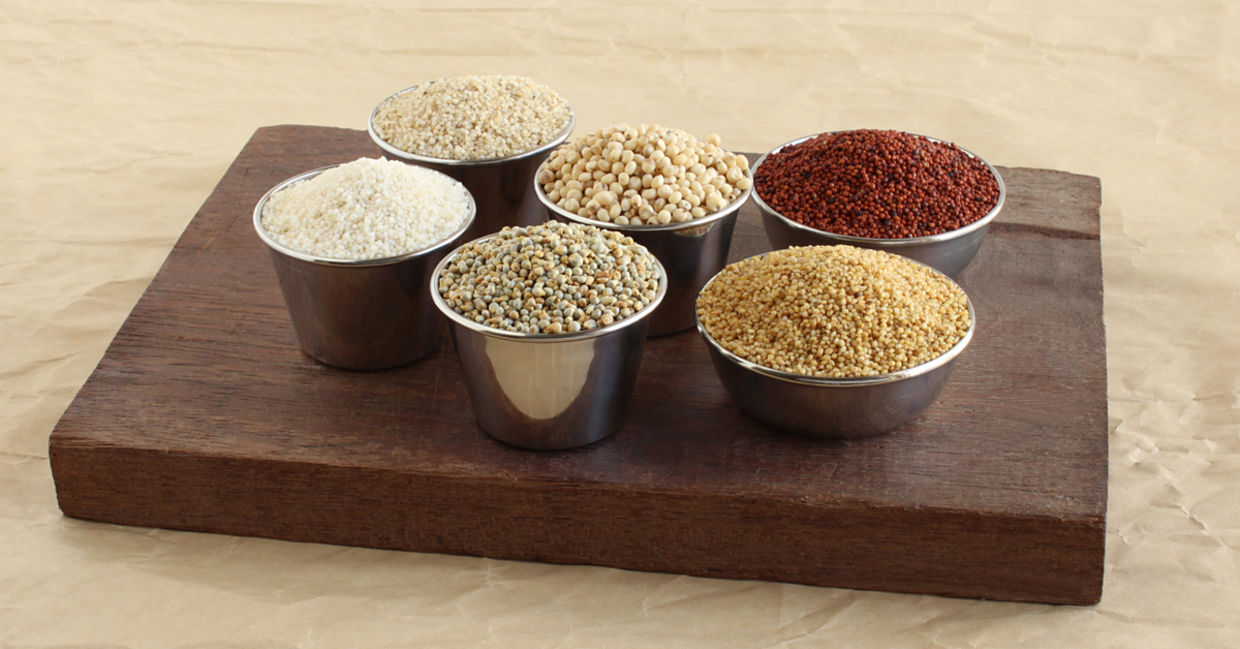 不同的小米品种。